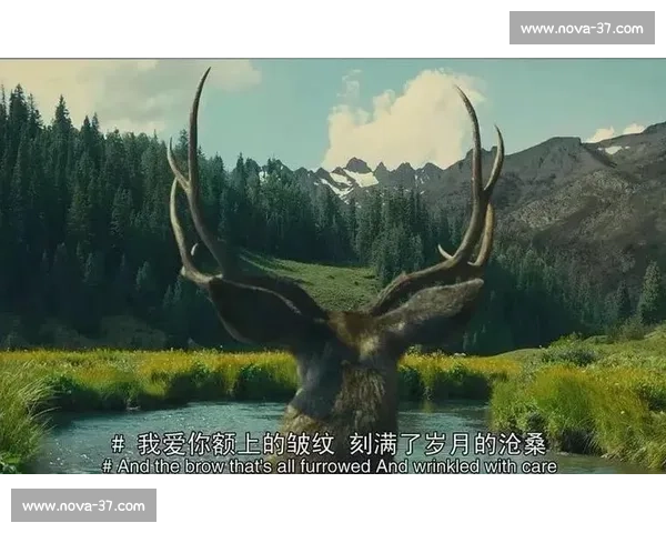 全球最残酷杀人比赛电影盘点看完让人背后发凉的生存对决故事合集