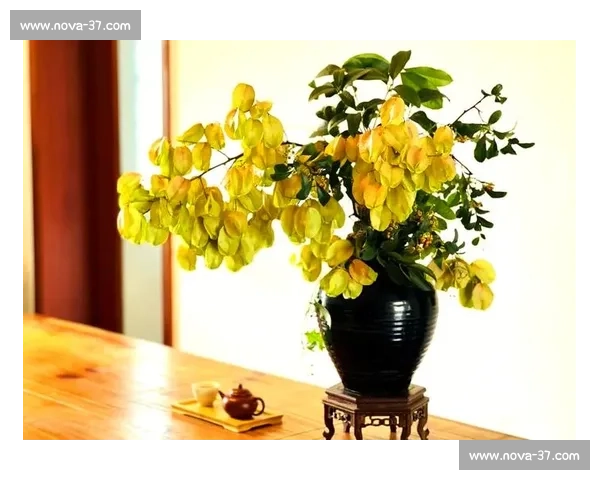 创意与艺术交融的摆台花设计大赛精彩展示